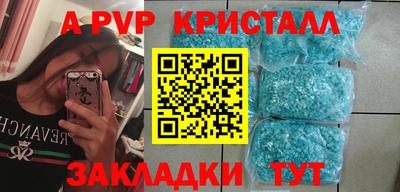 скорость Кингисепп