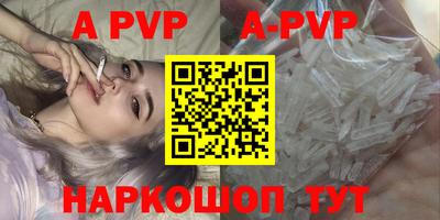 спиды Кимры