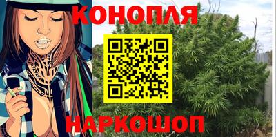 скорость Кингисепп