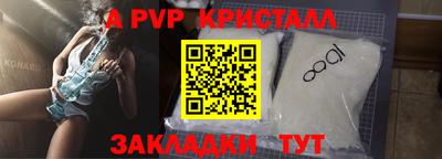 скорость Кингисепп