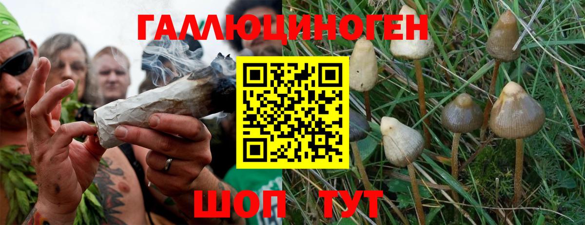 Ликино-Дулёво  Галлюциногенные грибы мухоморы  Псилоцибиновые грибы GOLDEN TEACHER  Вход с VPN 